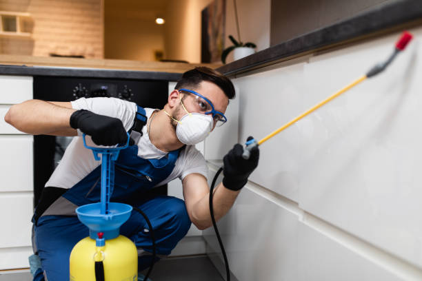 Best Pest Inspection Near Me  in Hendron, KY