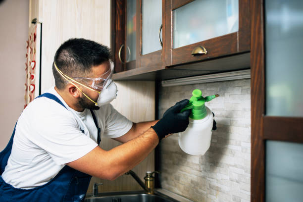 Best Rat Extermination Near Me  in Hendron, KY