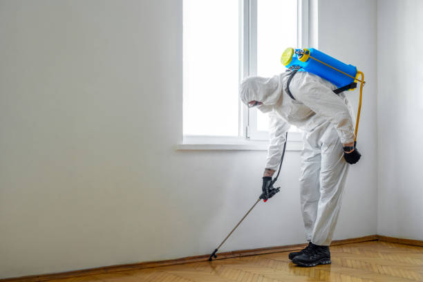 Best Pest Control Treatment  in Hendron, KY