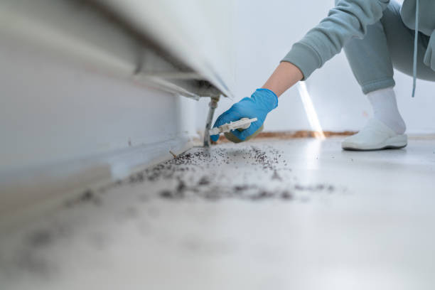 Wildlife Control Services in Hendron, KY