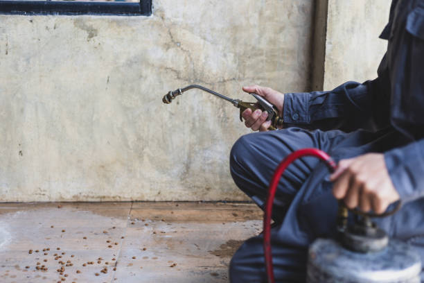 Best Wasp Removal Services  in Hendron, KY